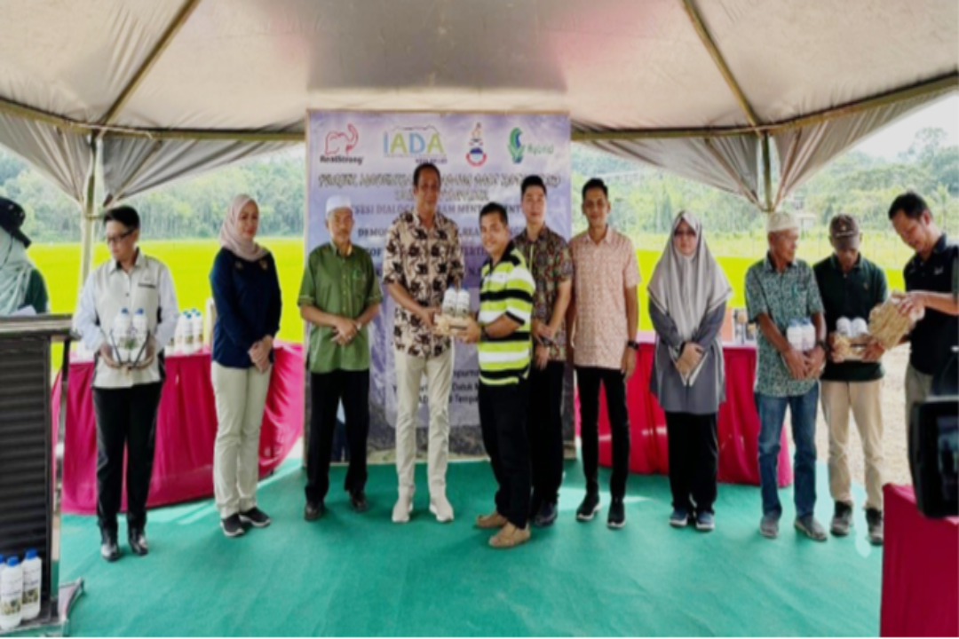 CSR Mentor-Mentee稻作計畫