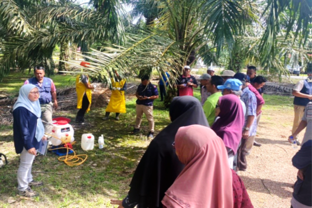 永續油棕發展講座：全宇馬來西亞油棕局分享活動